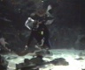 thm_RAY2.jpg
